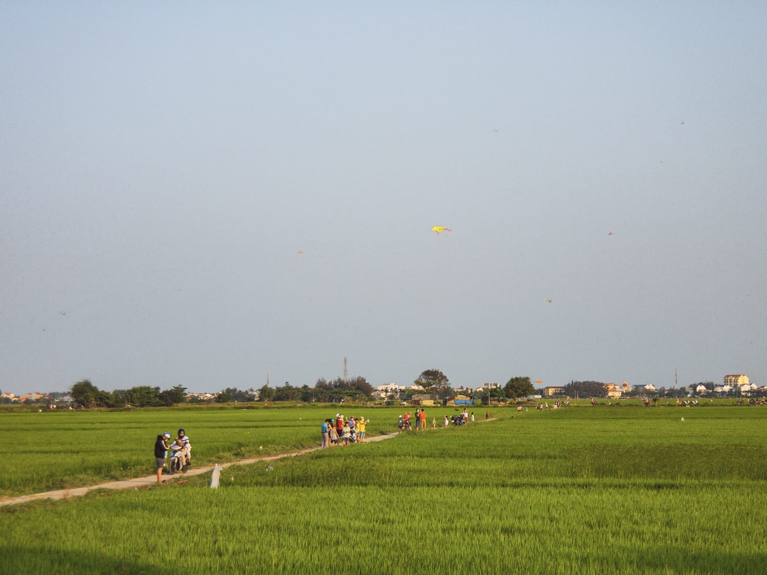 Фото 268 из альбома Vietnam & Bali Shoot on iPhone 2020