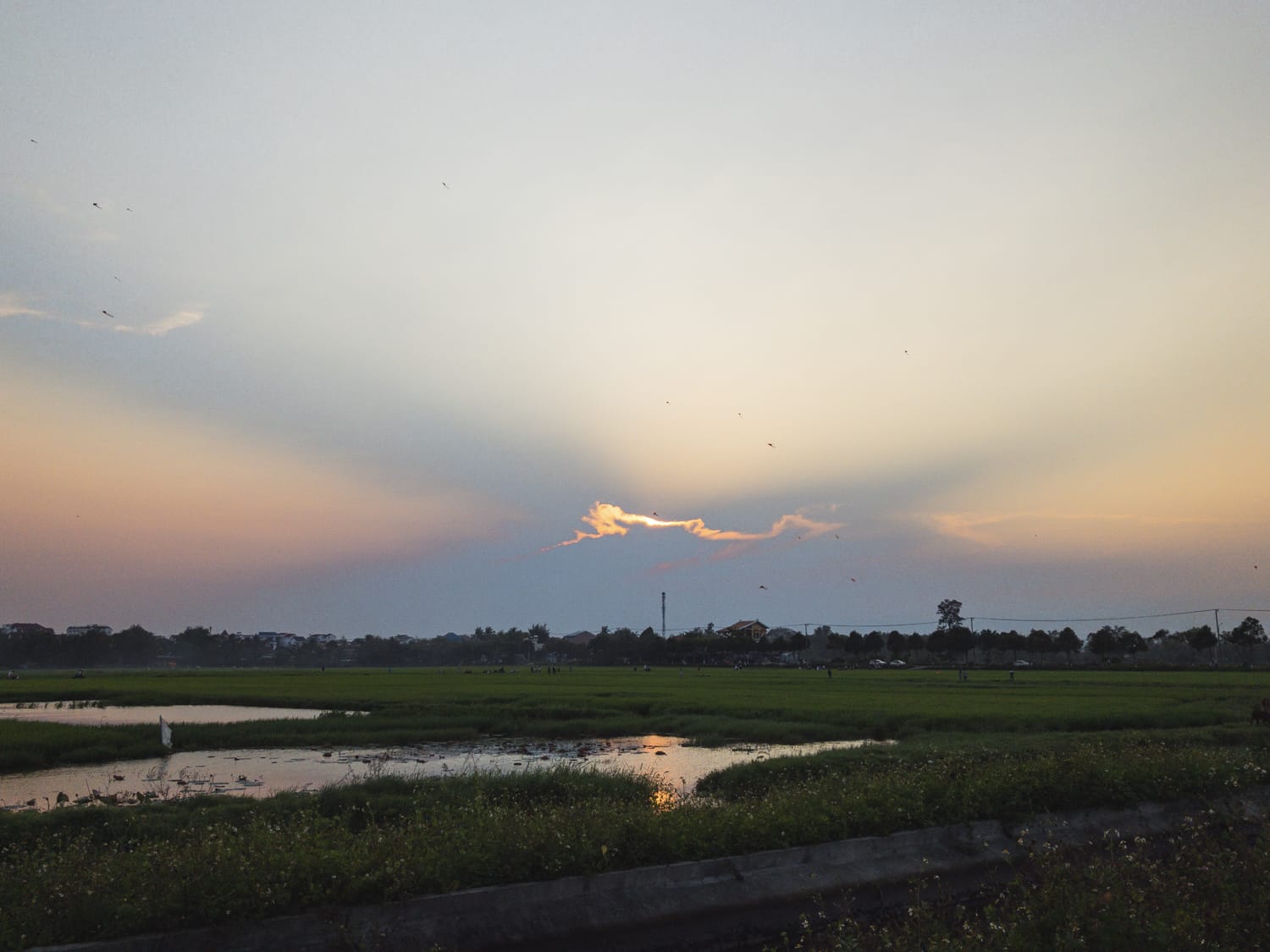 Фото 271 из альбома Vietnam & Bali Shoot on iPhone 2020