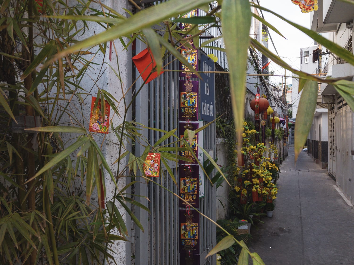 Фото 313 из альбома Vietnam & Bali Shoot on iPhone 2020