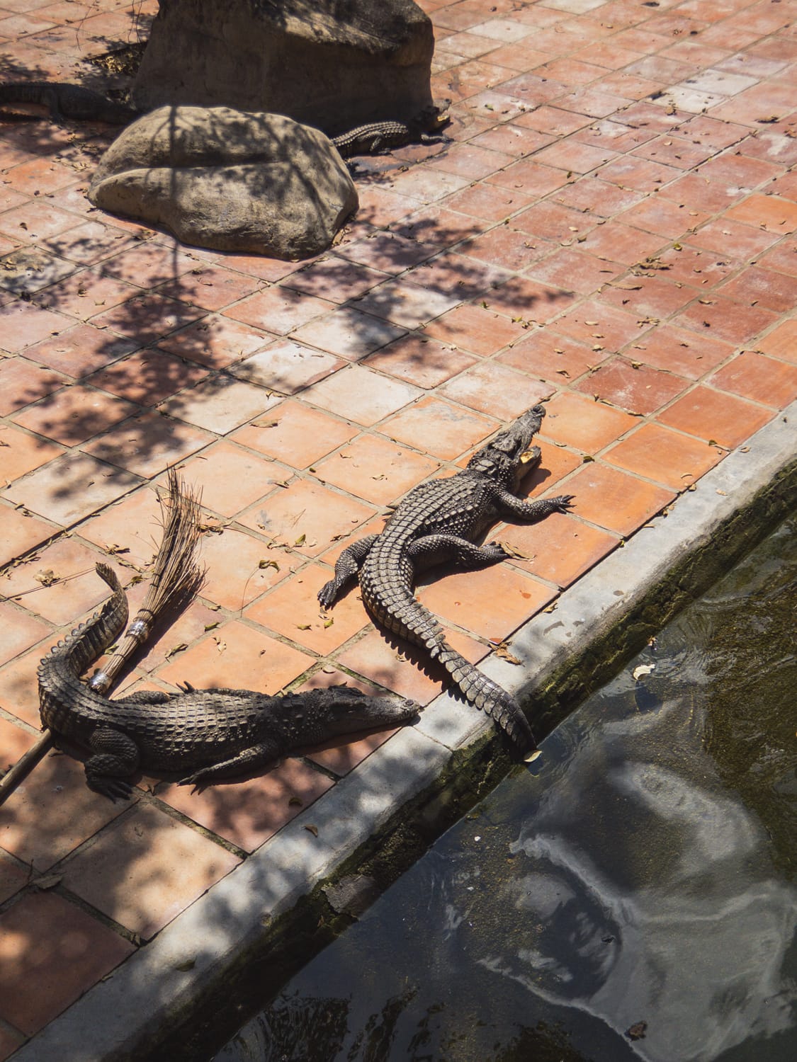 Фото 344 из альбома Vietnam & Bali Shoot on iPhone 2020