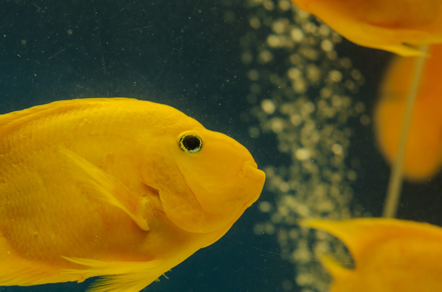 Фото 75 из альбома Bangkok & Phuket 2022