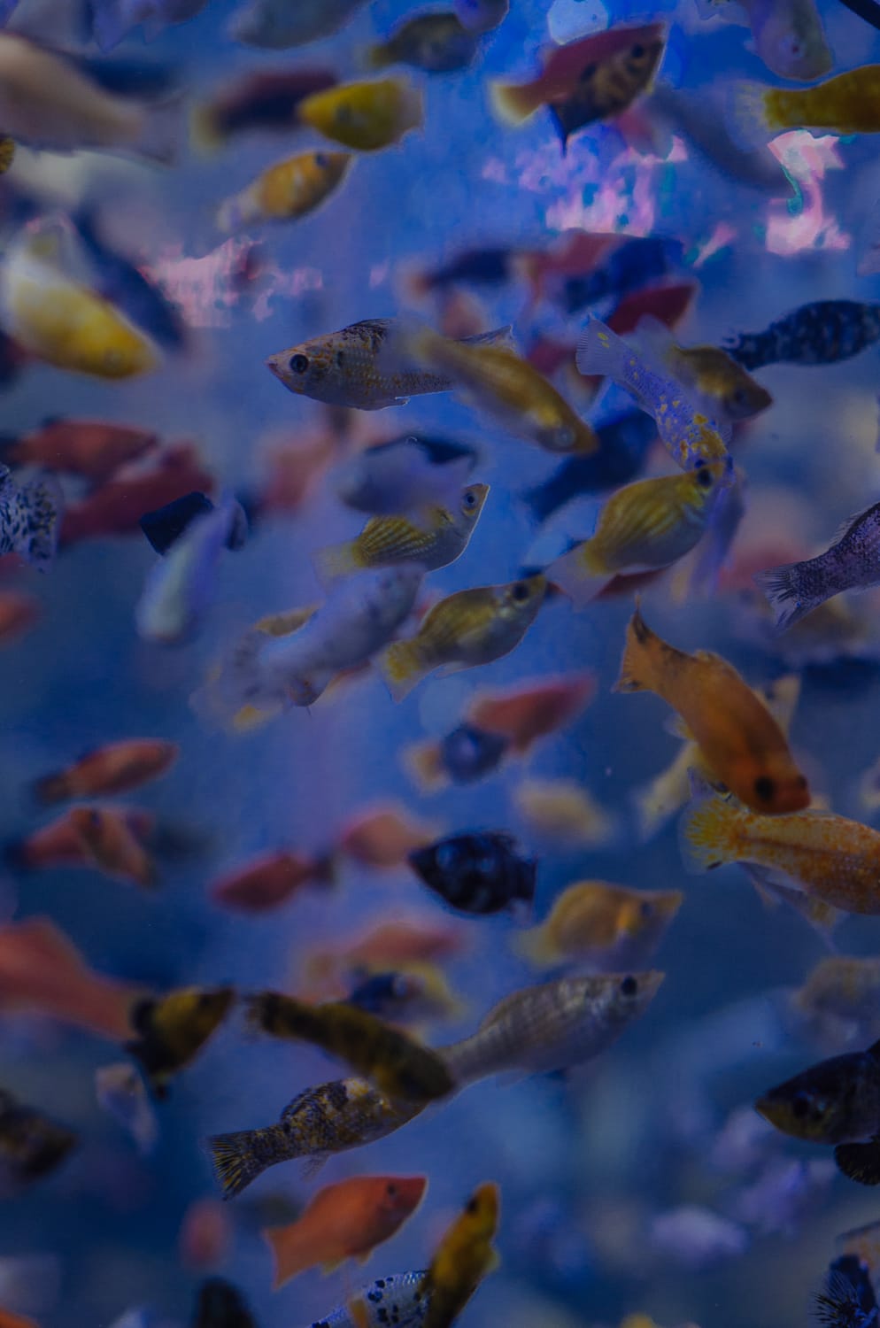 Фото 77 из альбома Bangkok & Phuket 2022