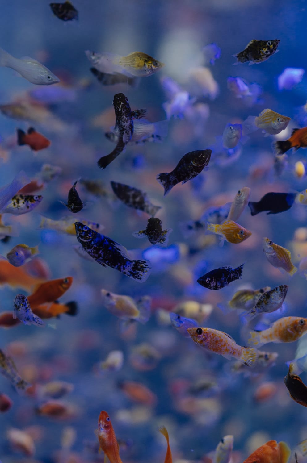 Фото 78 из альбома Bangkok & Phuket 2022