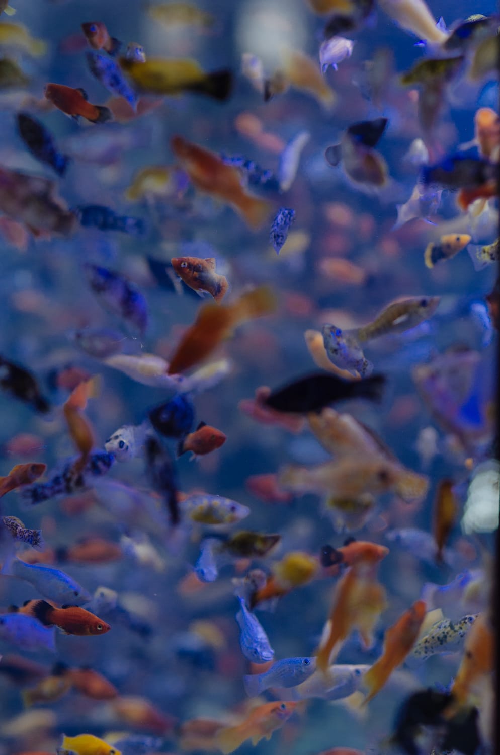 Фото 79 из альбома Bangkok & Phuket 2022