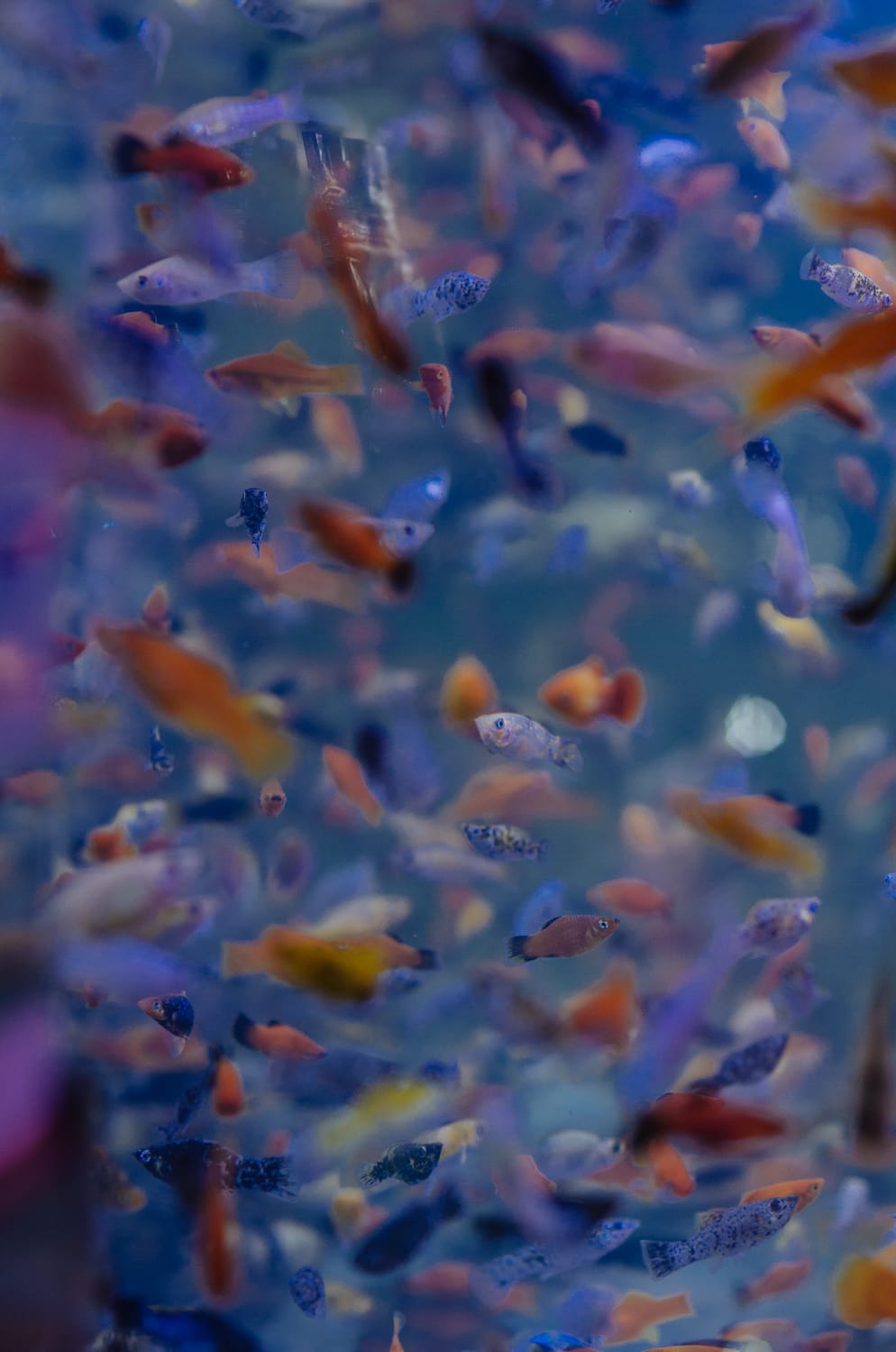 Фото 80 из альбома Bangkok & Phuket 2022