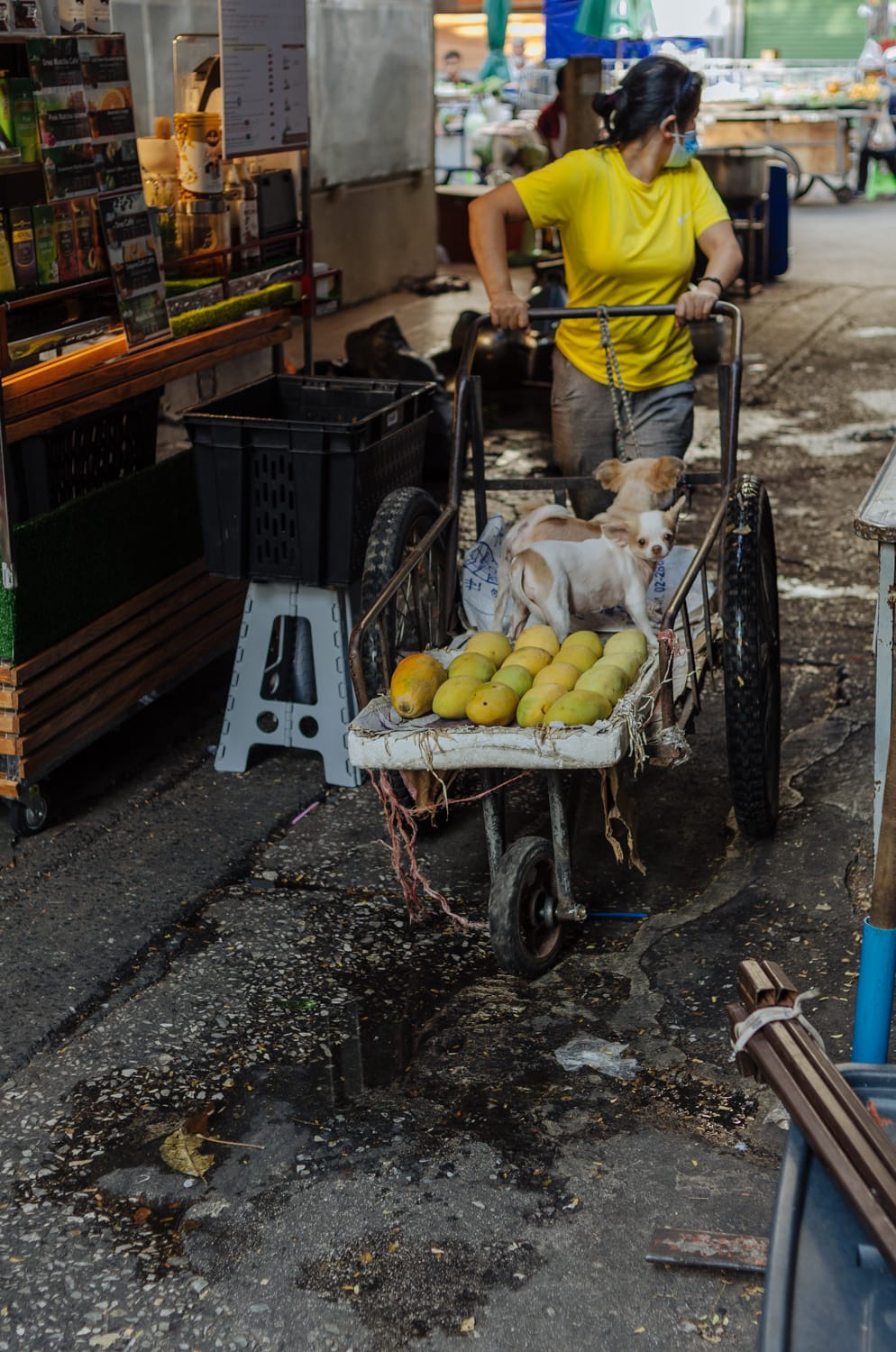 Фото 124 из альбома Bangkok & Phuket 2022