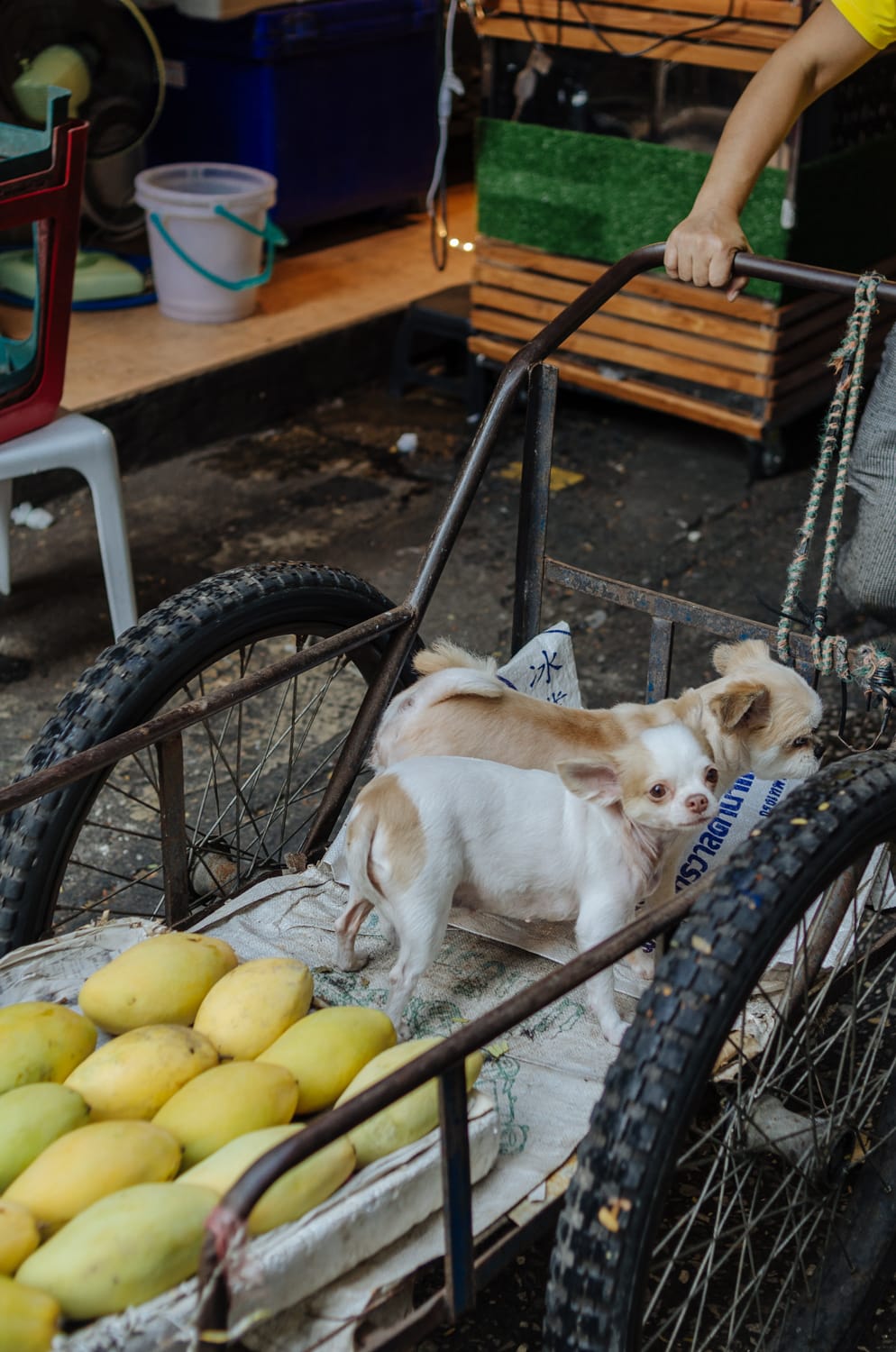 Фото 126 из альбома Bangkok & Phuket 2022