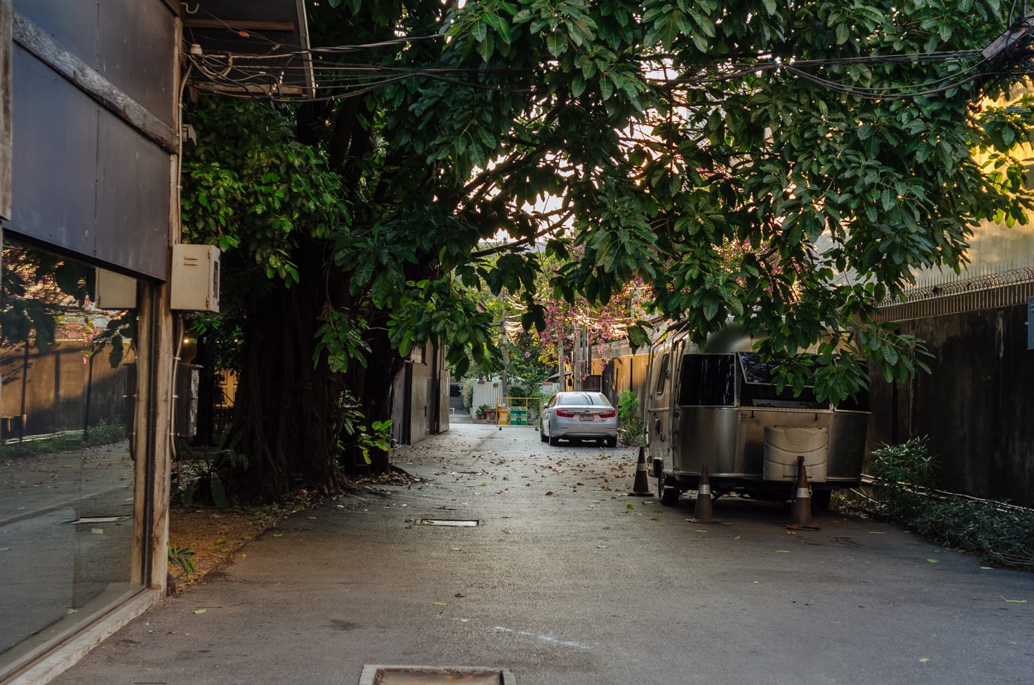 Фото 167 из альбома Bangkok & Phuket 2022