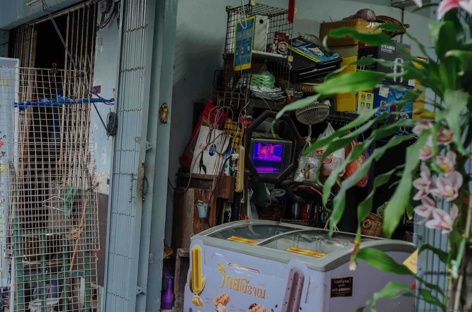 Фото 168 из альбома Bangkok & Phuket 2022