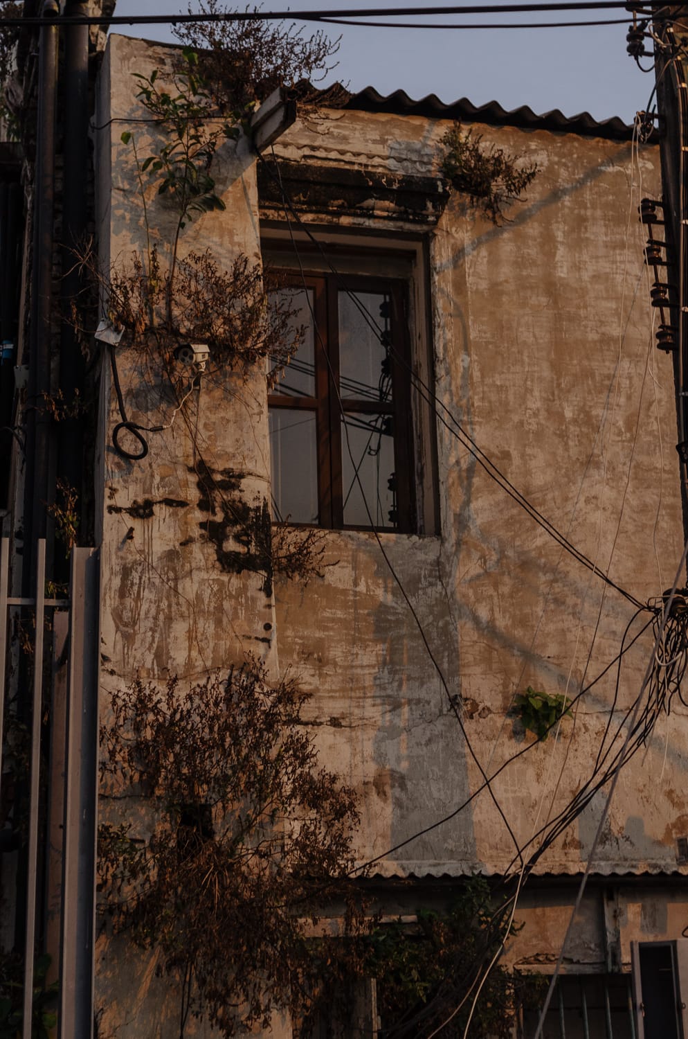 Фото 176 из альбома Bangkok & Phuket 2022