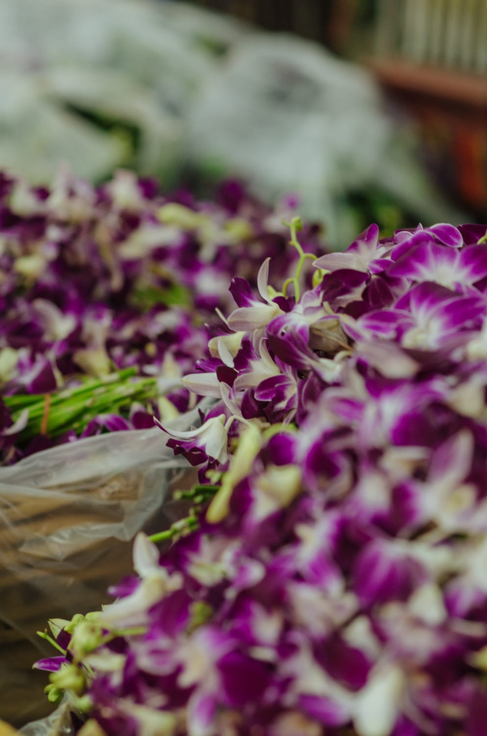 Фото 186 из альбома Bangkok & Phuket 2022