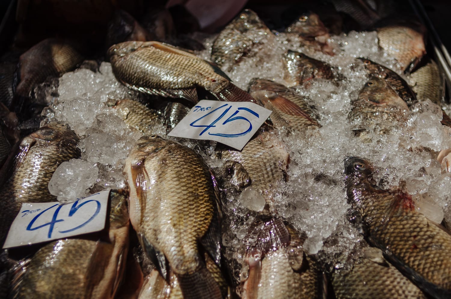 Фото 199 из альбома Bangkok & Phuket 2022