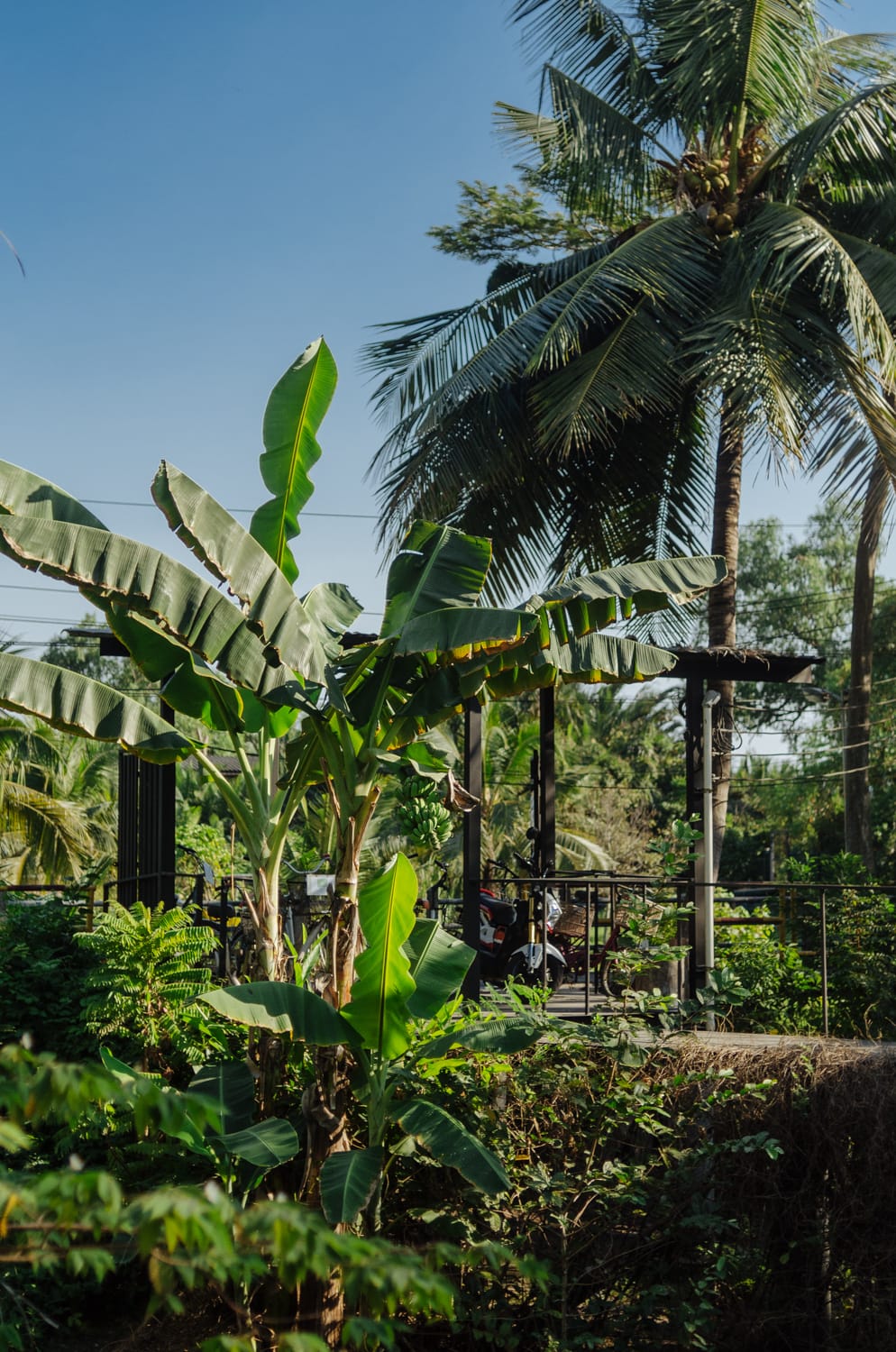 Фото 222 из альбома Bangkok & Phuket 2022