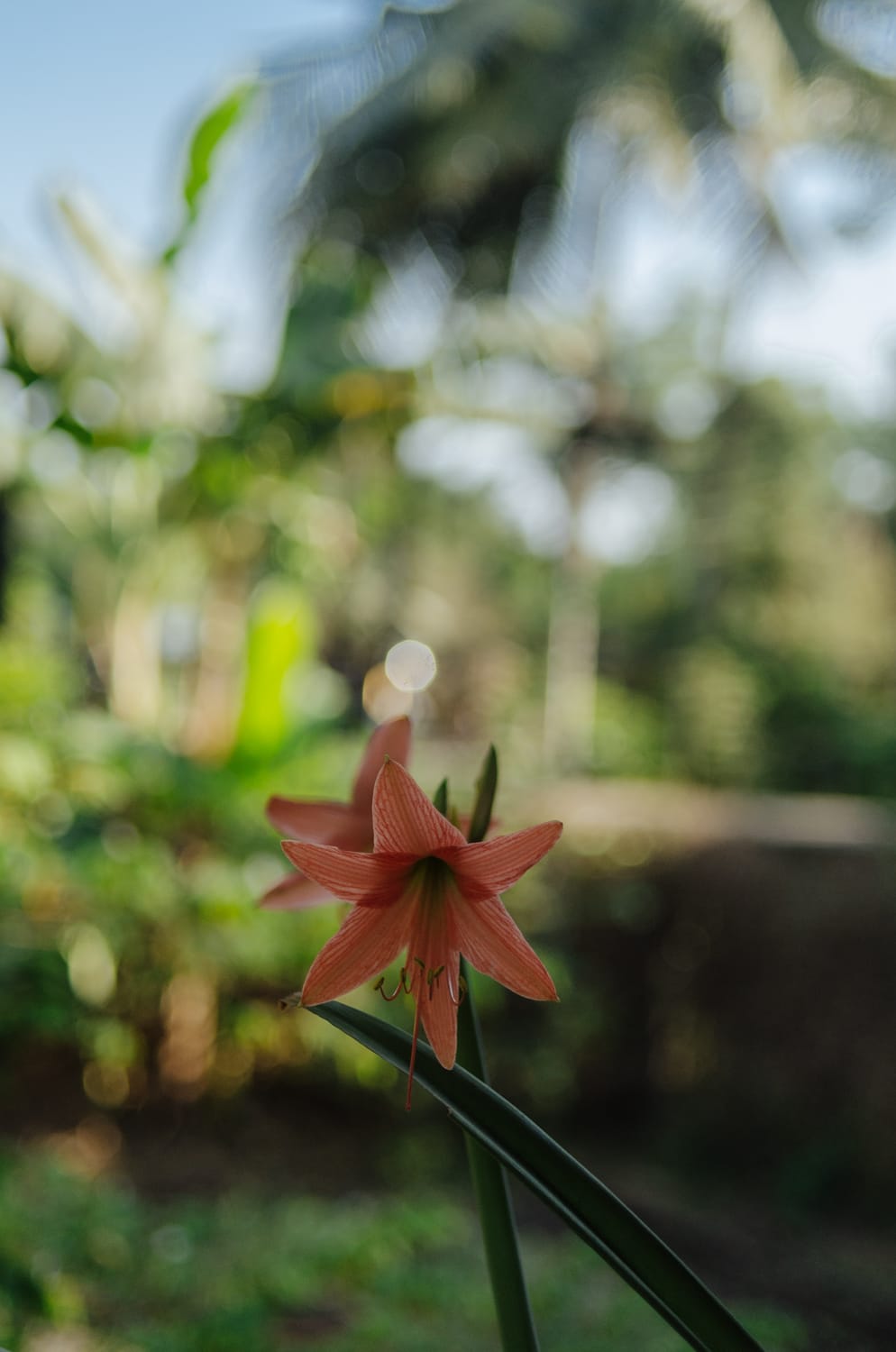 Фото 223 из альбома Bangkok & Phuket 2022