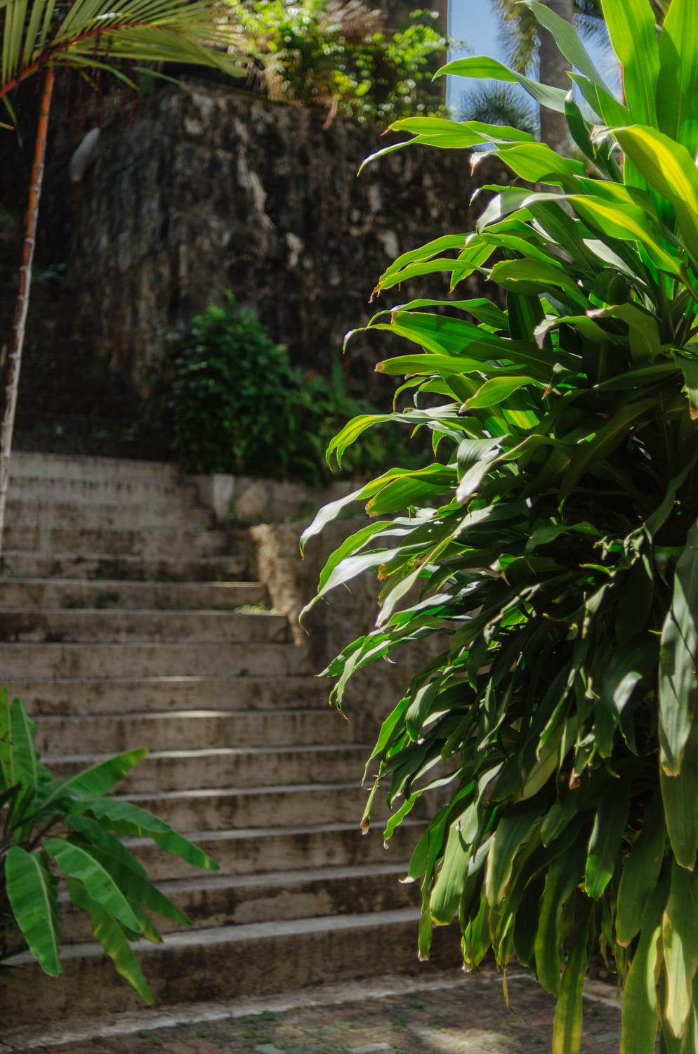 Фото 227 из альбома Bangkok & Phuket 2022