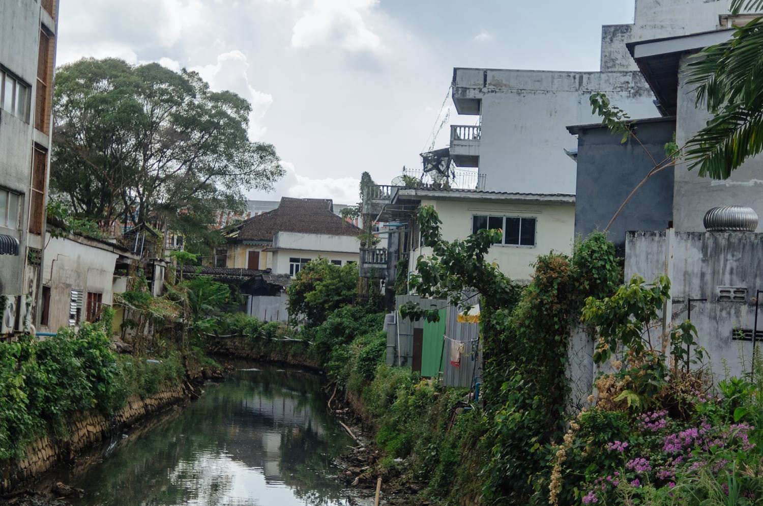 Фото 232 из альбома Bangkok & Phuket 2022
