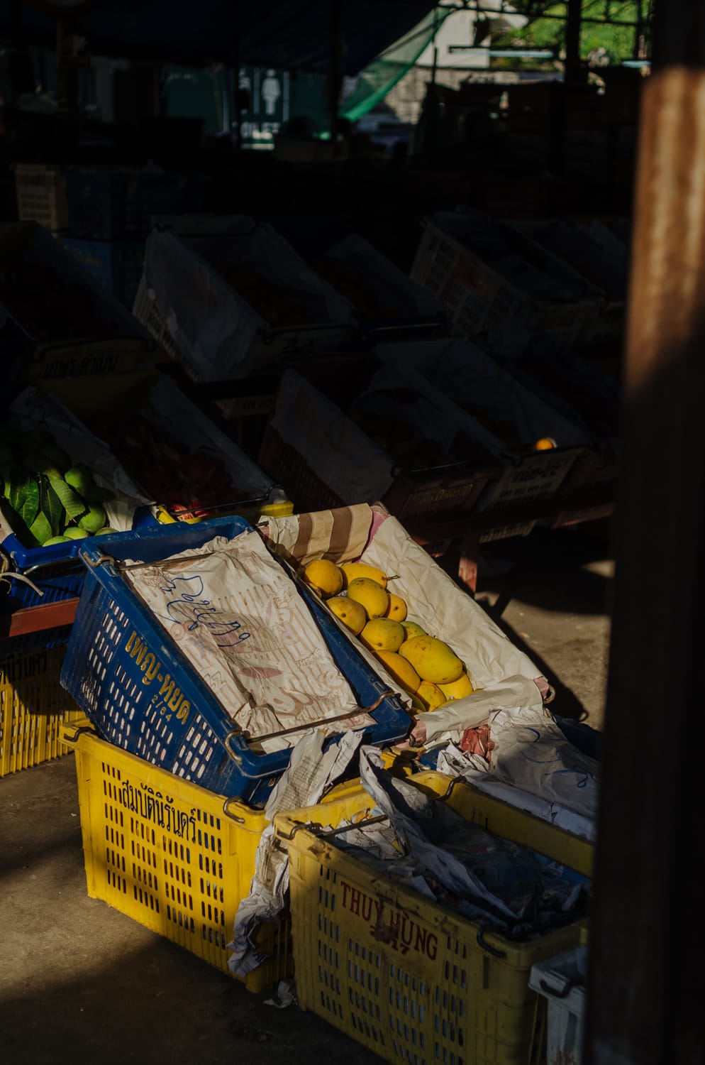 Фото 239 из альбома Bangkok & Phuket 2022