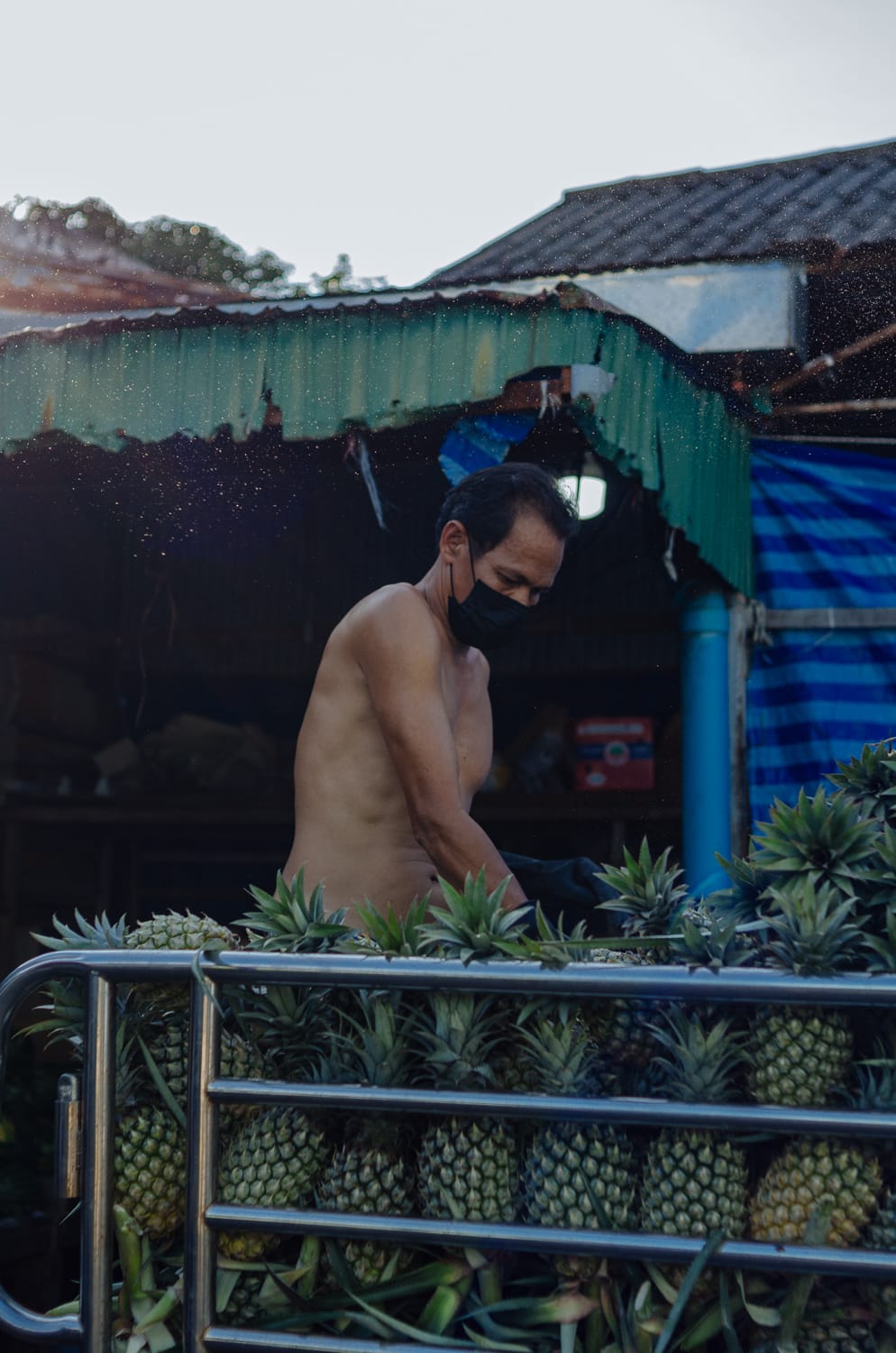 Фото 241 из альбома Bangkok & Phuket 2022