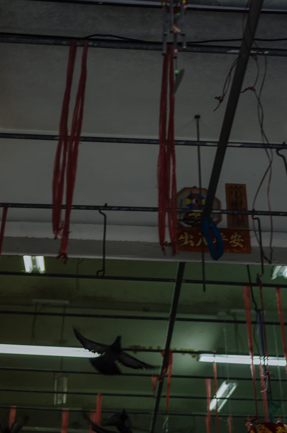 Фото 247 из альбома Bangkok & Phuket 2022