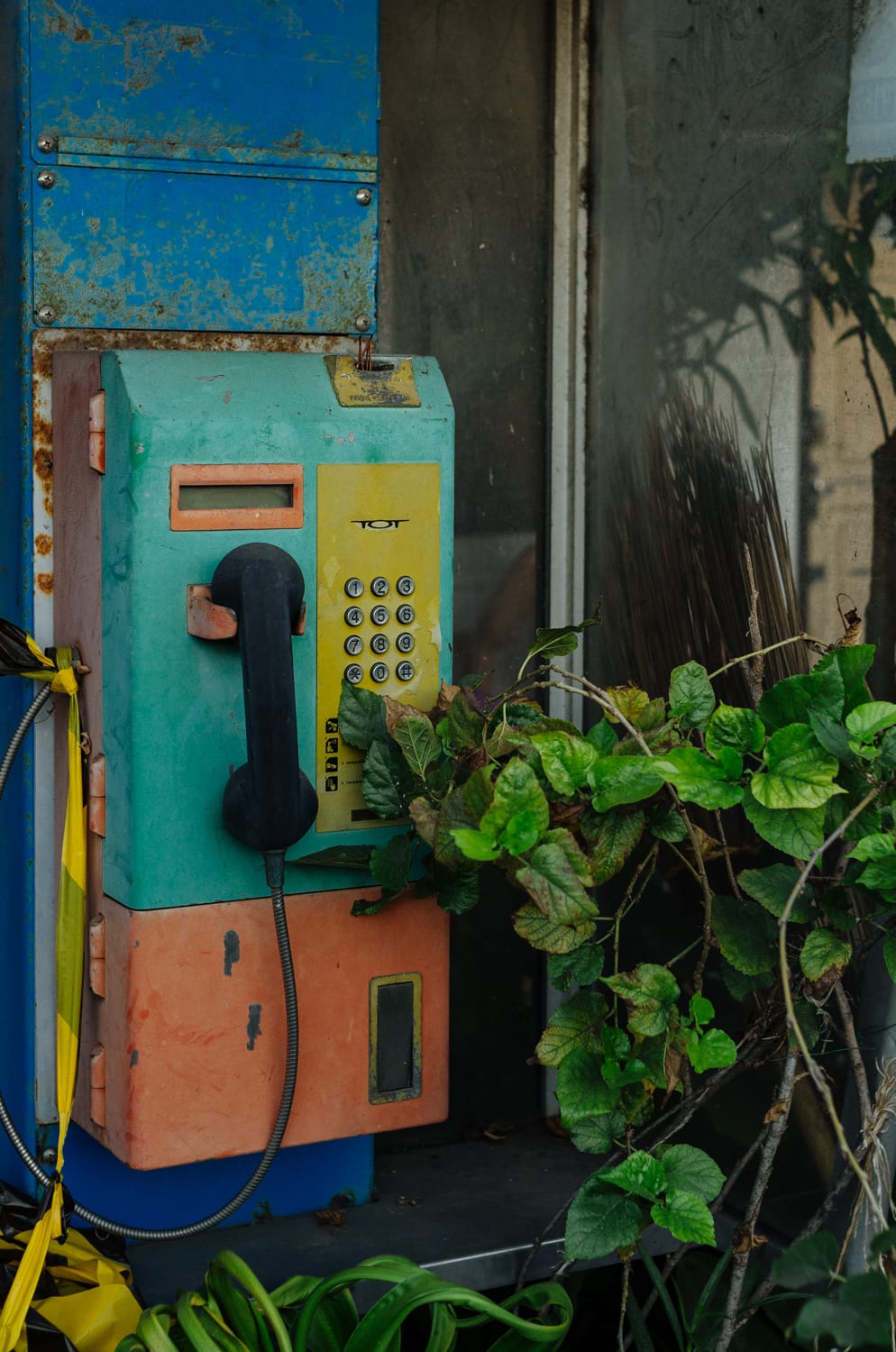 Фото 260 из альбома Bangkok & Phuket 2022