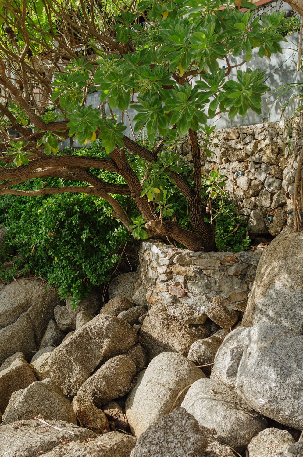 Фото 264 из альбома Bangkok & Phuket 2022