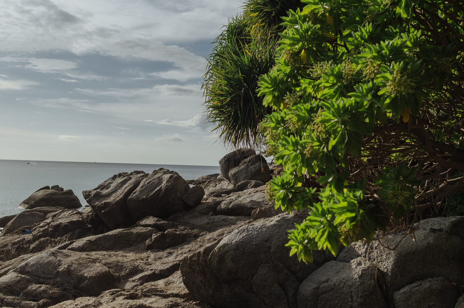 Фото 265 из альбома Bangkok & Phuket 2022