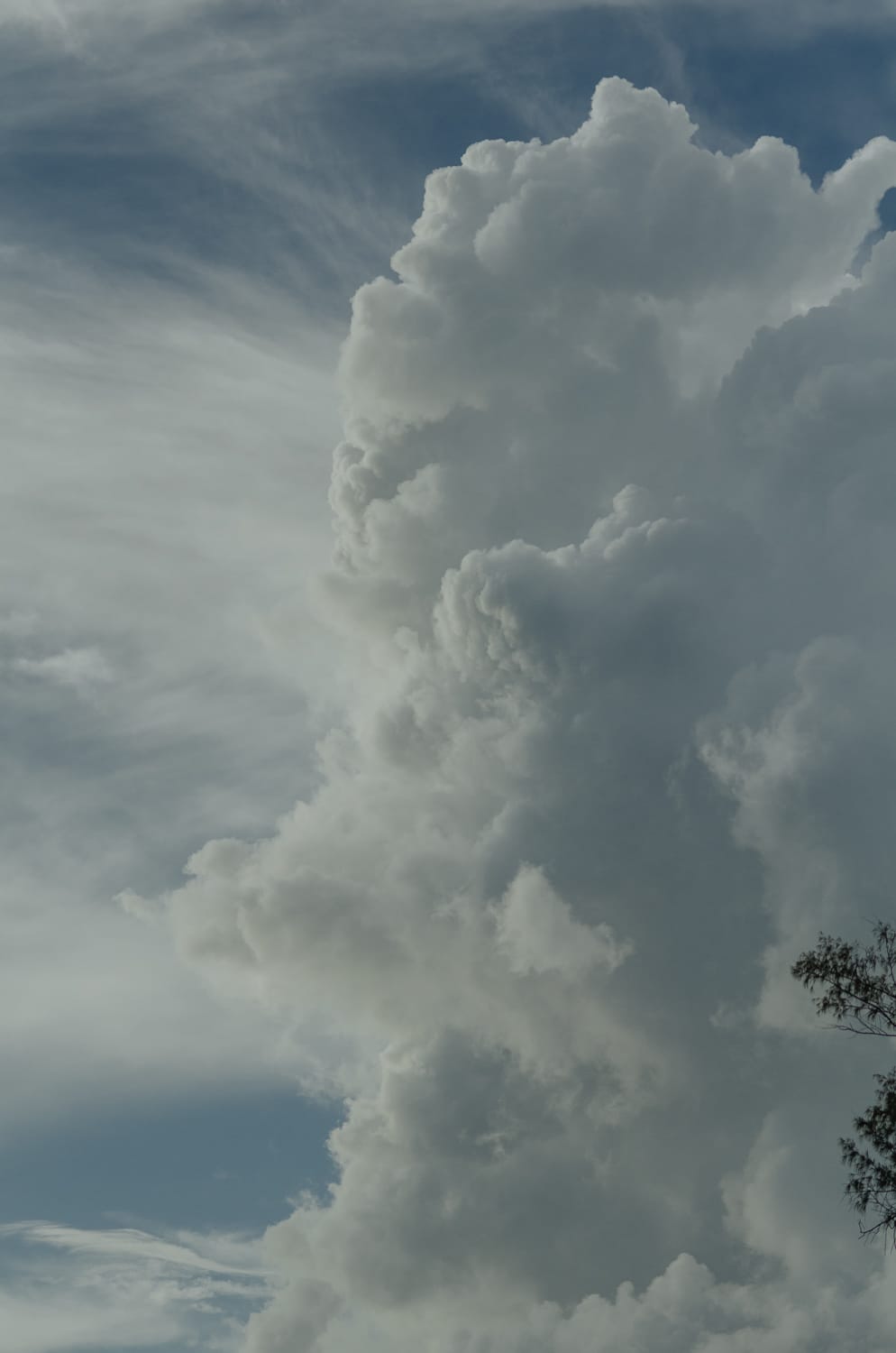 Фото 267 из альбома Bangkok & Phuket 2022