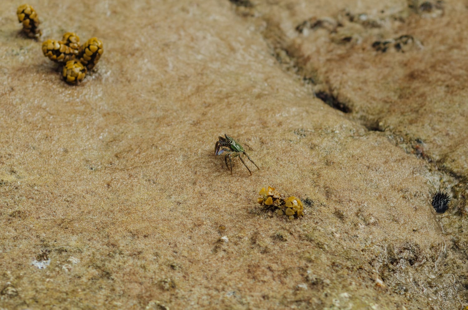 Фото 268 из альбома Bangkok & Phuket 2022