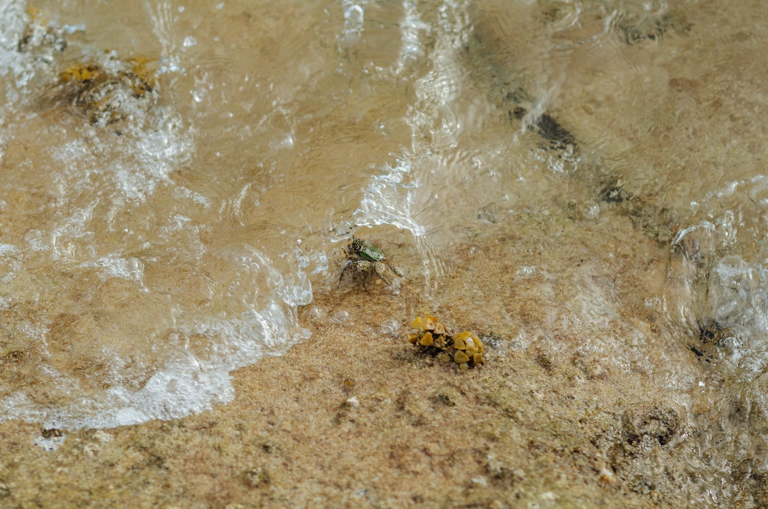 Фото 269 из альбома Bangkok & Phuket 2022