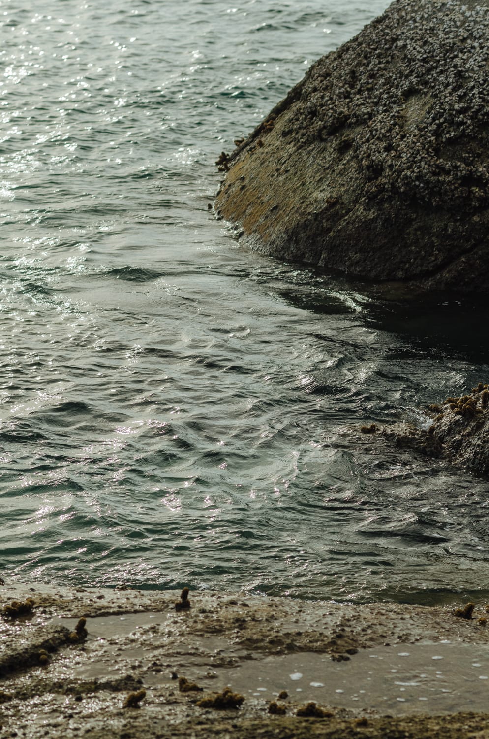 Фото 272 из альбома Bangkok & Phuket 2022