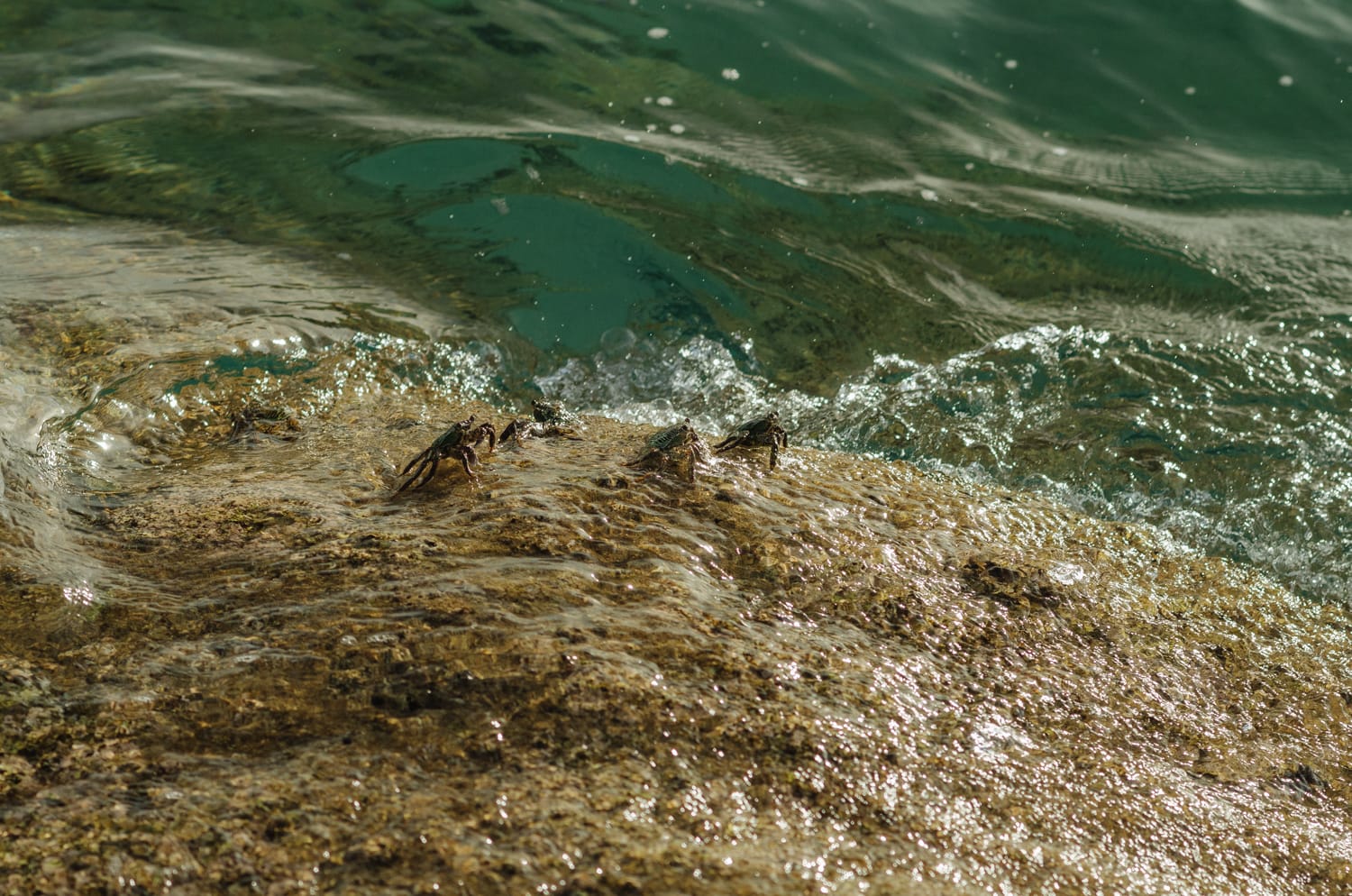 Фото 273 из альбома Bangkok & Phuket 2022