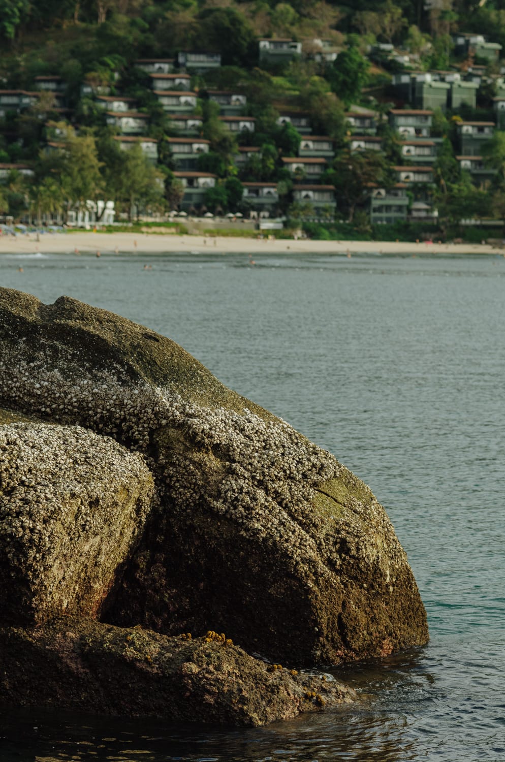 Фото 274 из альбома Bangkok & Phuket 2022