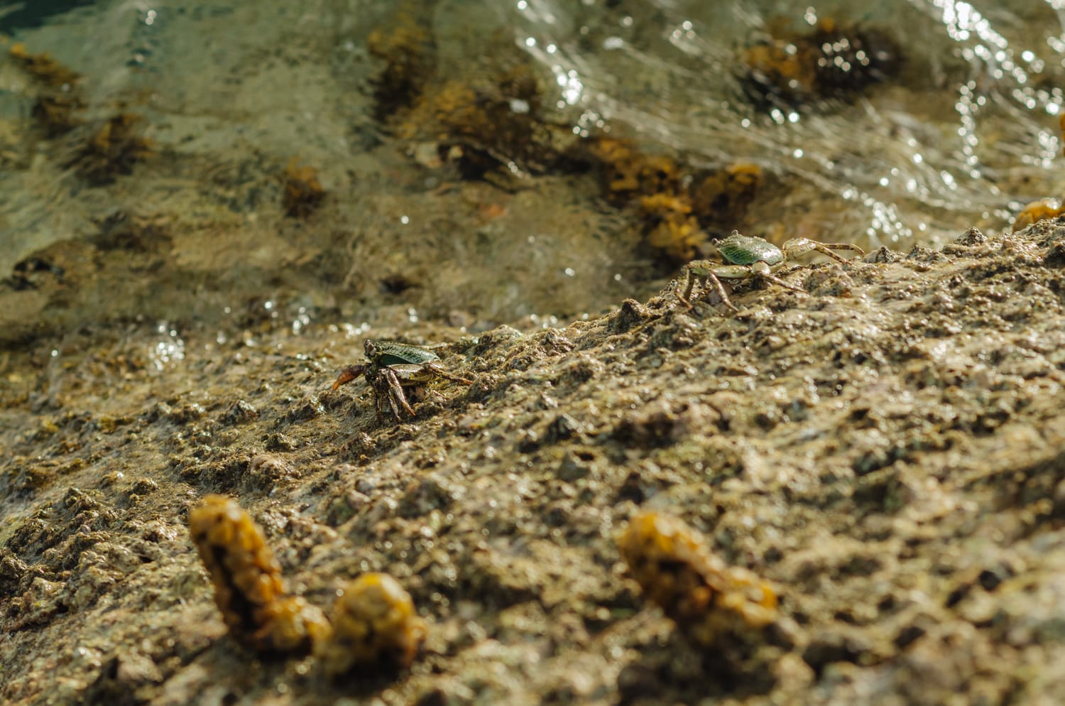 Фото 275 из альбома Bangkok & Phuket 2022