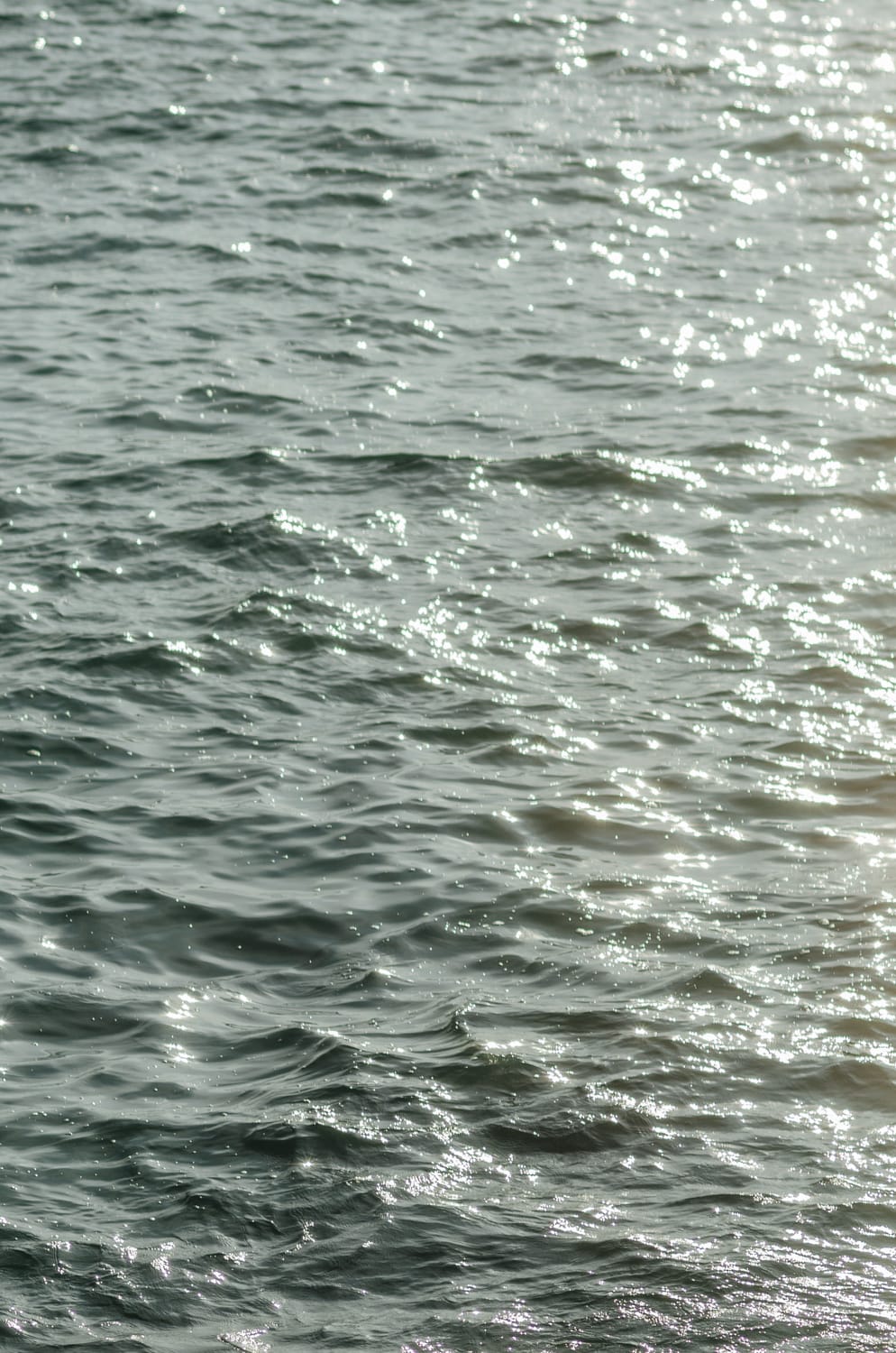 Фото 317 из альбома Bangkok & Phuket 2022