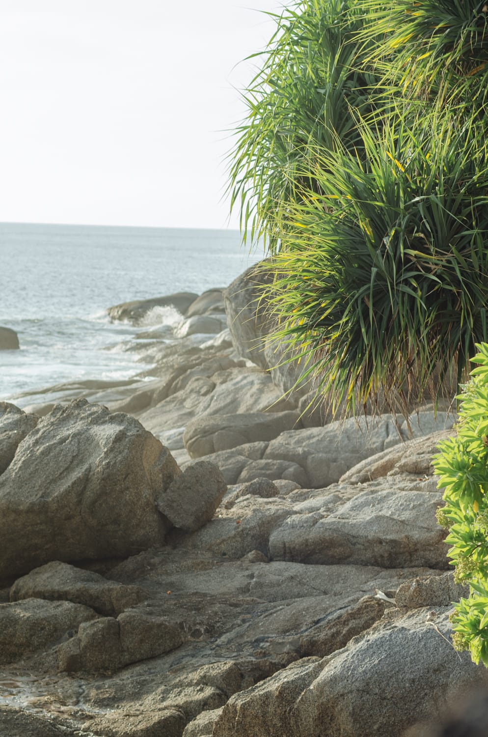 Фото 322 из альбома Bangkok & Phuket 2022