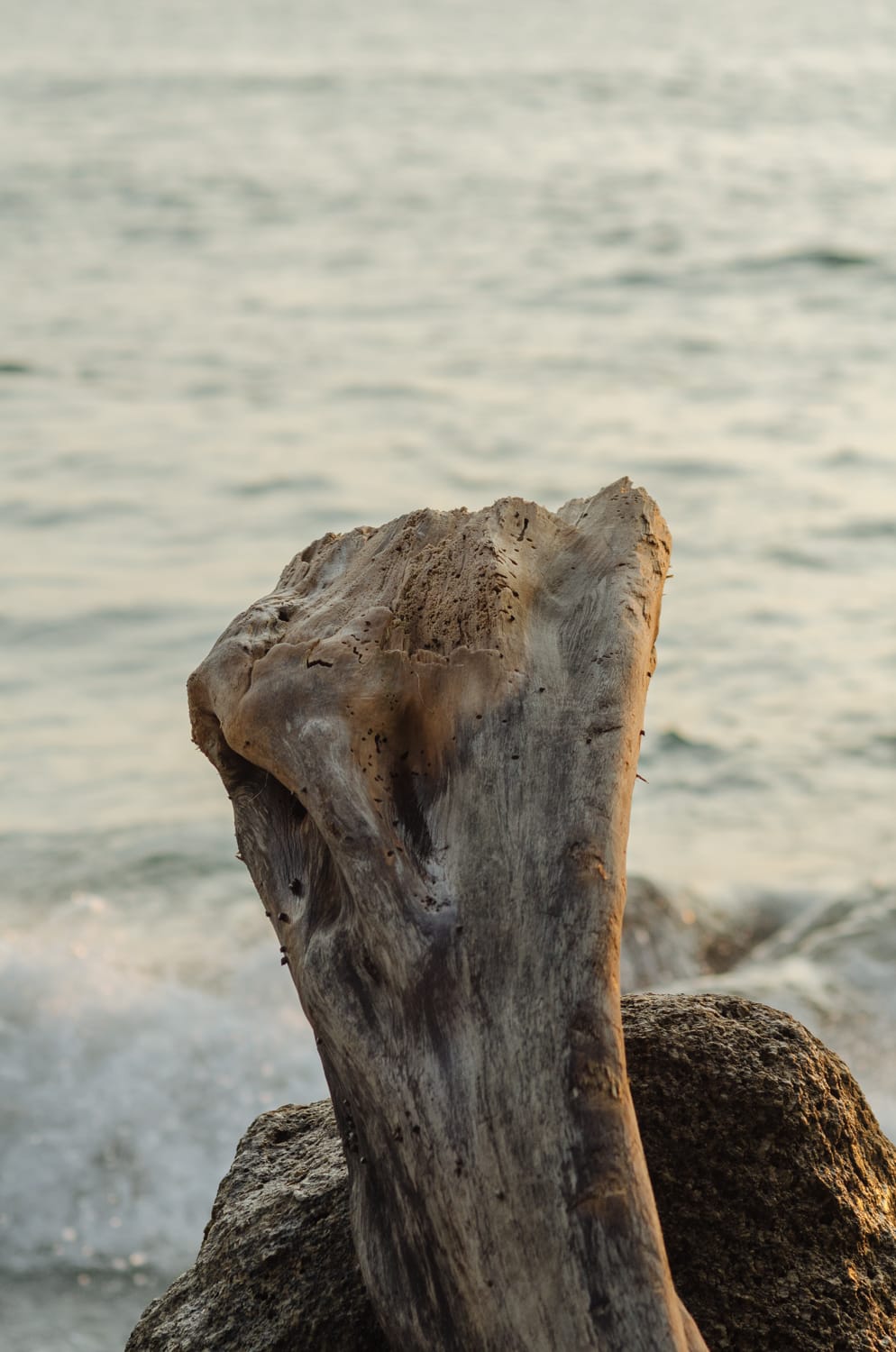 Фото 351 из альбома Bangkok & Phuket 2022