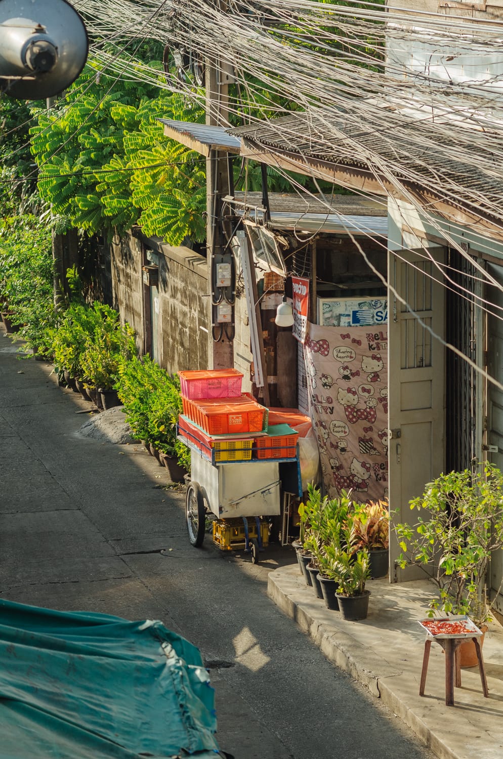 Фото 354 из альбома Bangkok & Phuket 2022