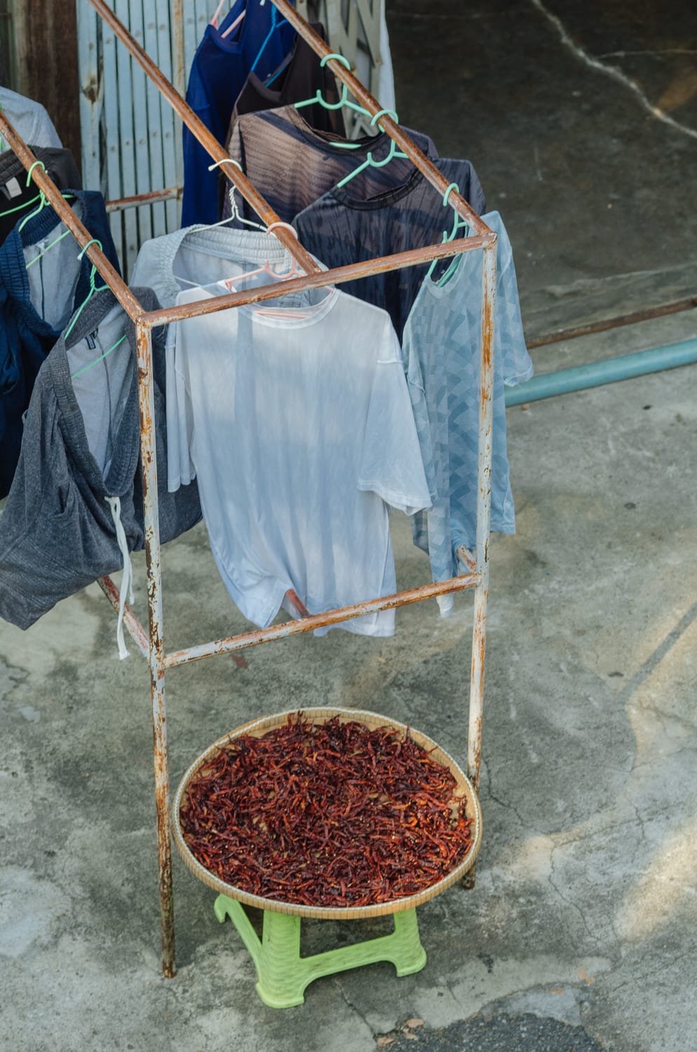 Фото 357 из альбома Bangkok & Phuket 2022