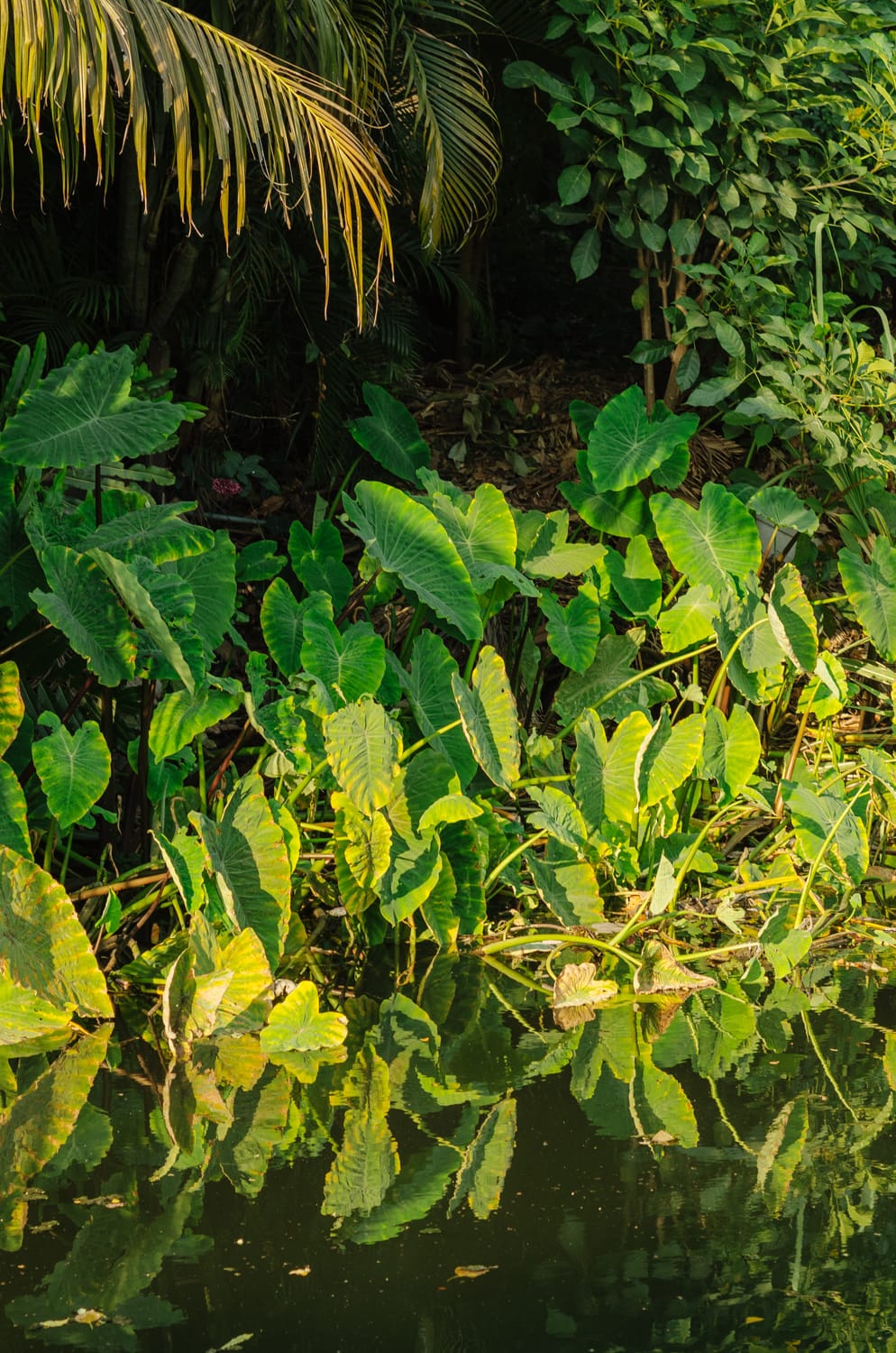 Фото 360 из альбома Bangkok & Phuket 2022