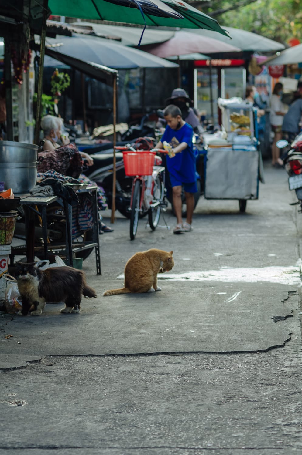 Фото 367 из альбома Bangkok & Phuket 2022
