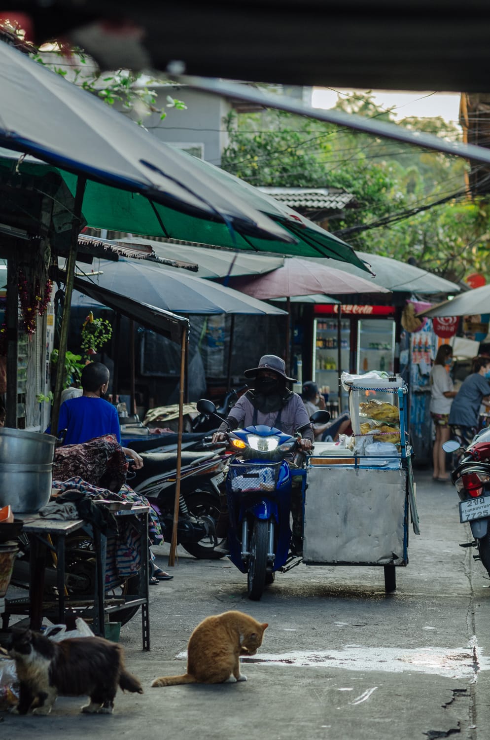 Фото 368 из альбома Bangkok & Phuket 2022