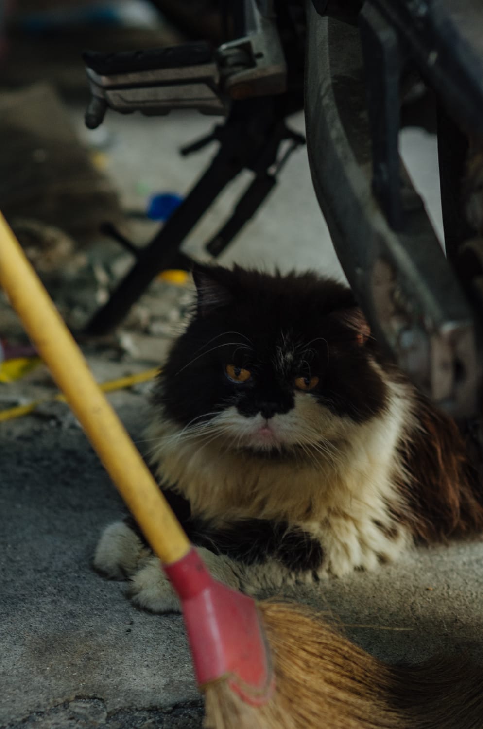 Фото 370 из альбома Bangkok & Phuket 2022