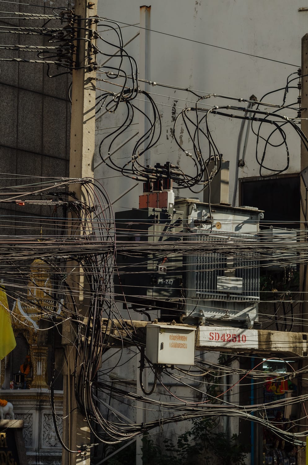 Фото 391 из альбома Bangkok & Phuket 2022