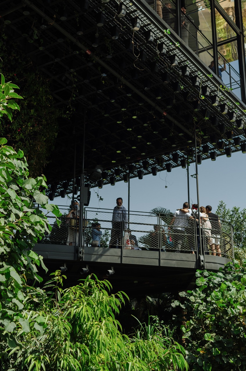 Фото 6 из альбома Dubai 2022