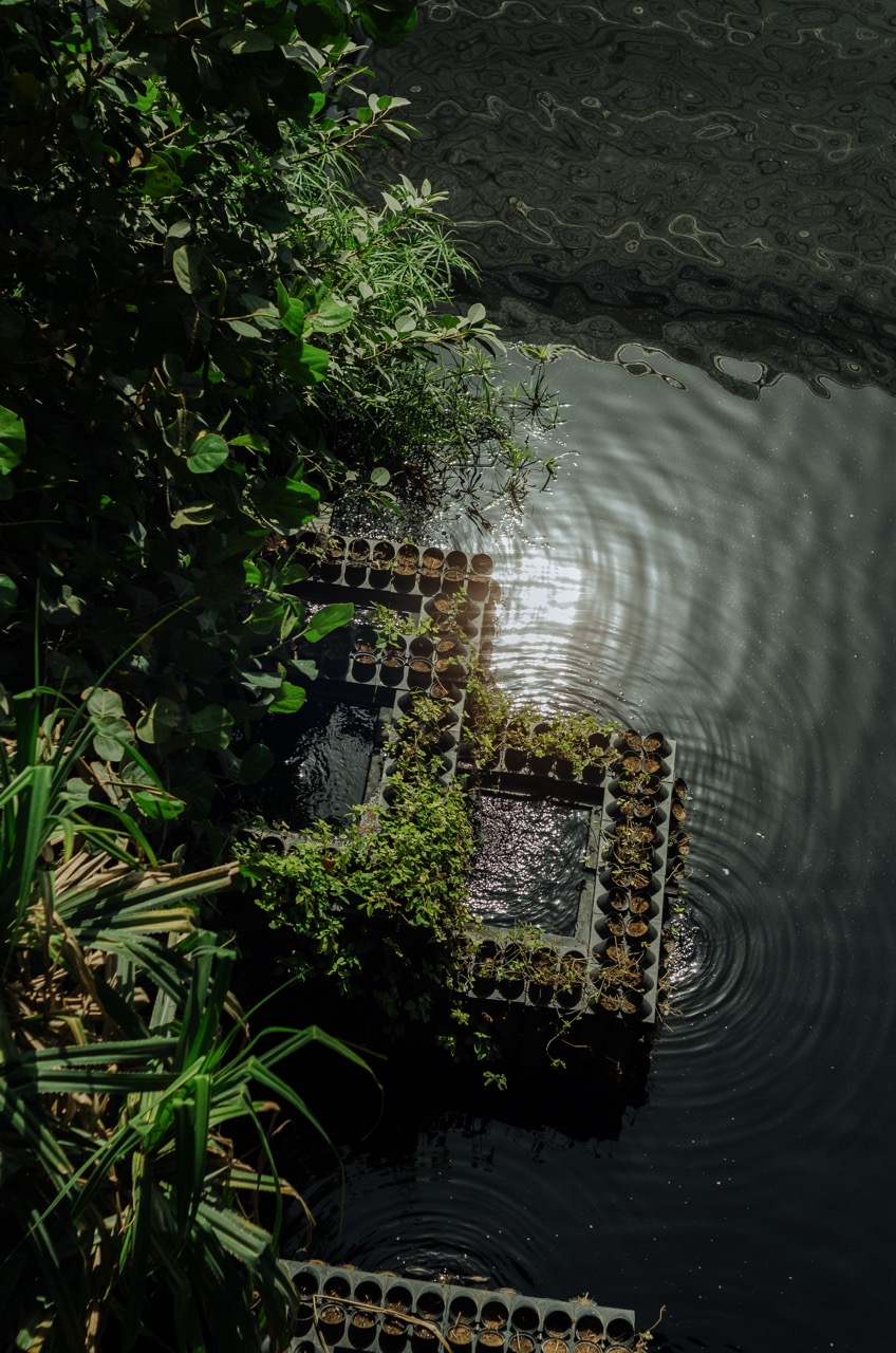 Фото 8 из альбома Dubai 2022