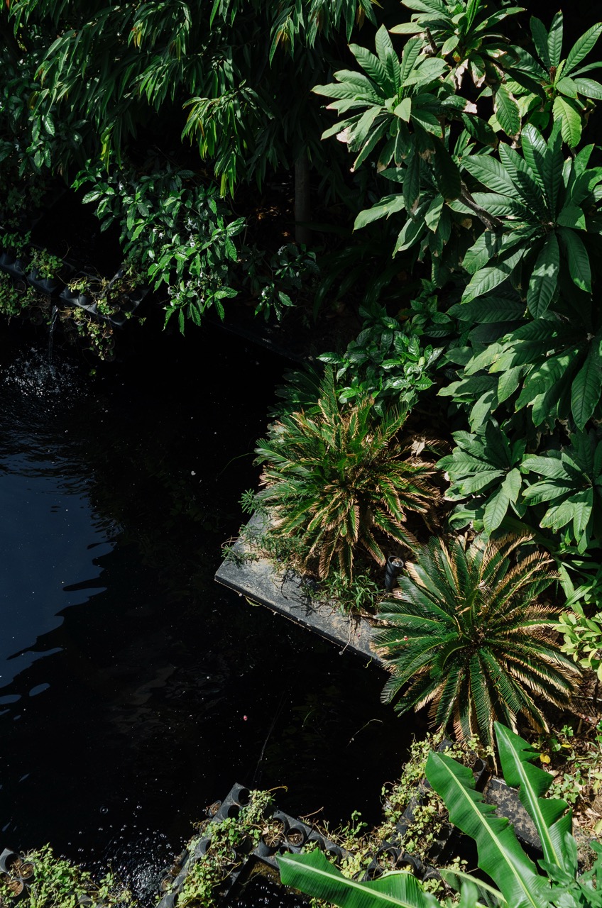 Фото 9 из альбома Dubai 2022