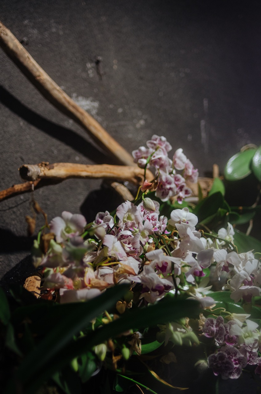 Фото 10 из альбома Dubai 2022