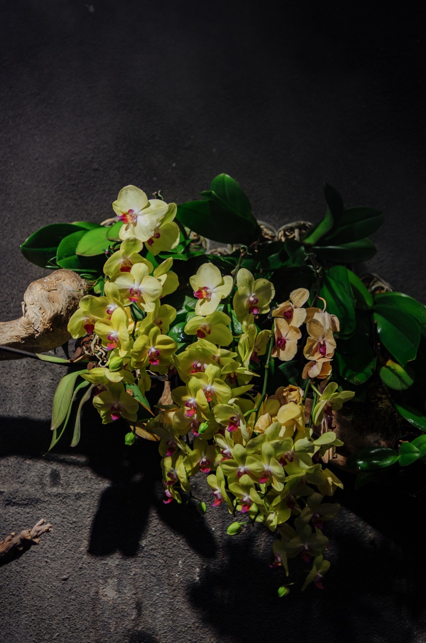 Фото 11 из альбома Dubai 2022