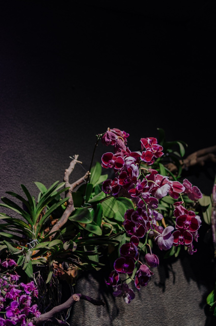 Фото 12 из альбома Dubai 2022