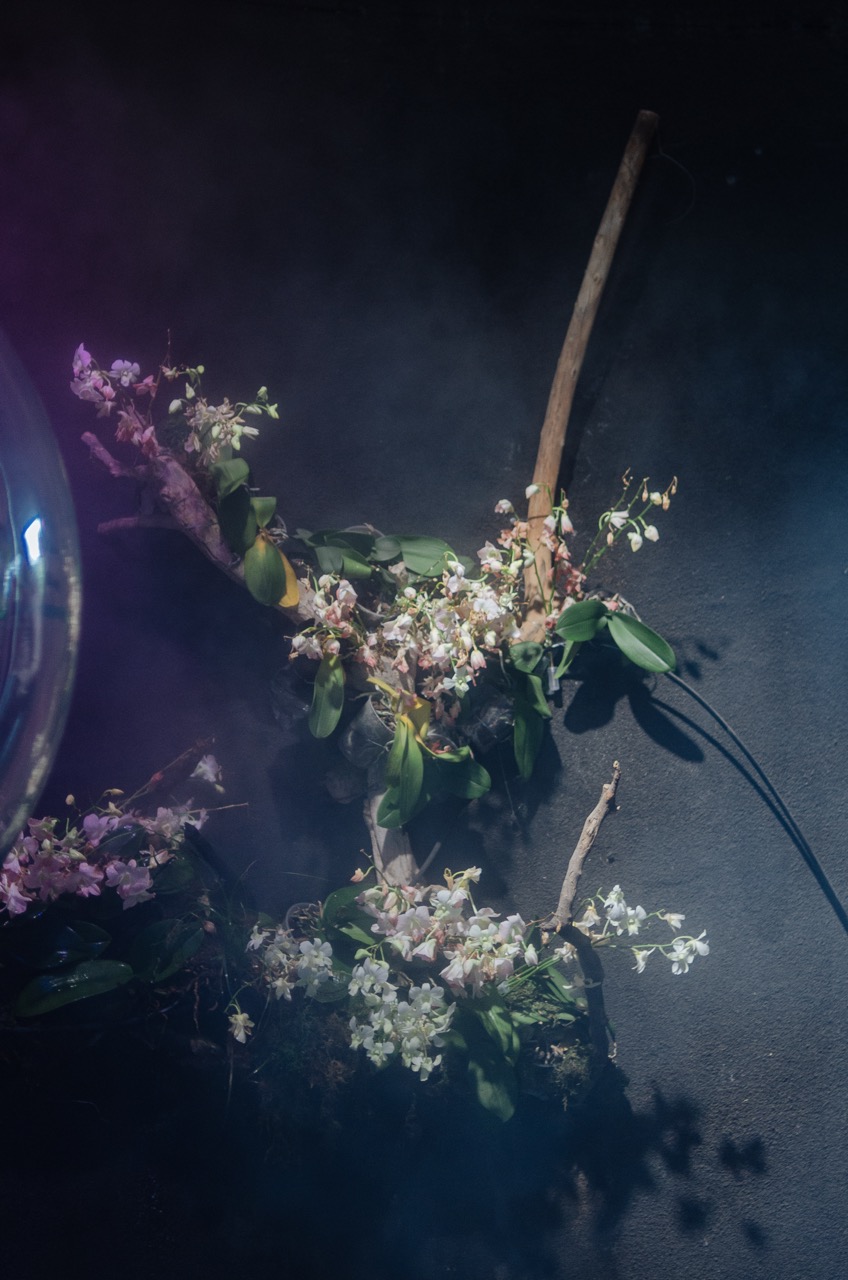 Фото 13 из альбома Dubai 2022